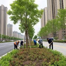 同江市政园林绿化管理中心领导班子